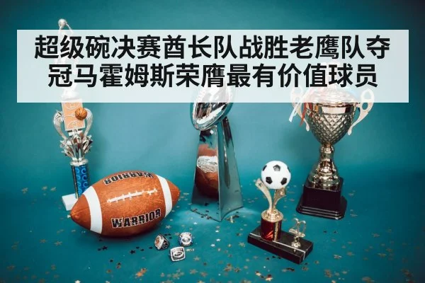 超级碗决赛酋长队战胜老鹰队夺冠马霍姆斯荣膺最有价值球员